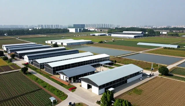 秋水古琴分享技术成果转化知识
