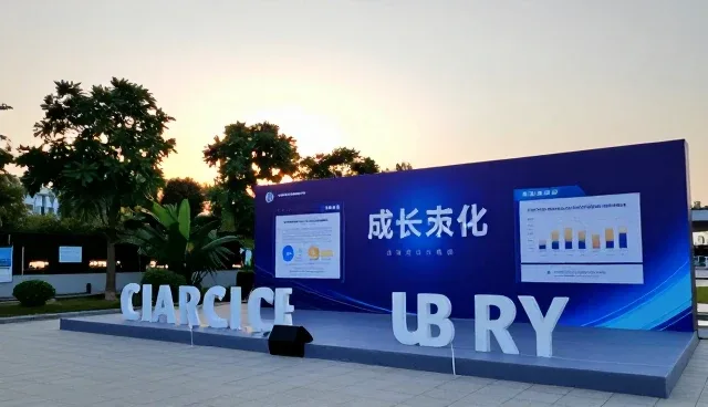 提升客户合作效率的关键:安装调试流程优化
